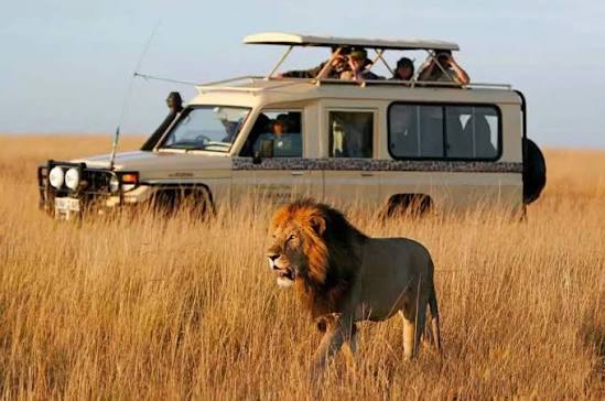 Africa